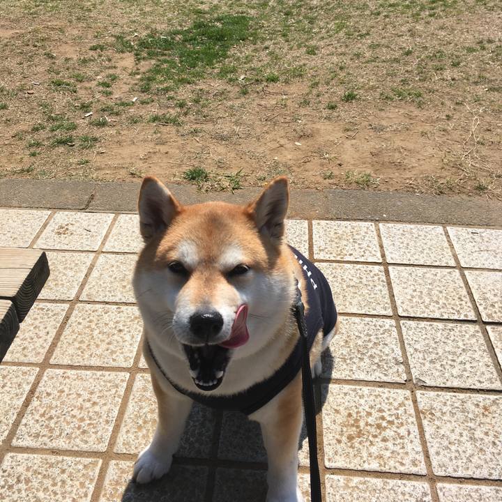 F5d3ef1e bb65 4b97 8d5d 4a228b90ba53 1552626600120