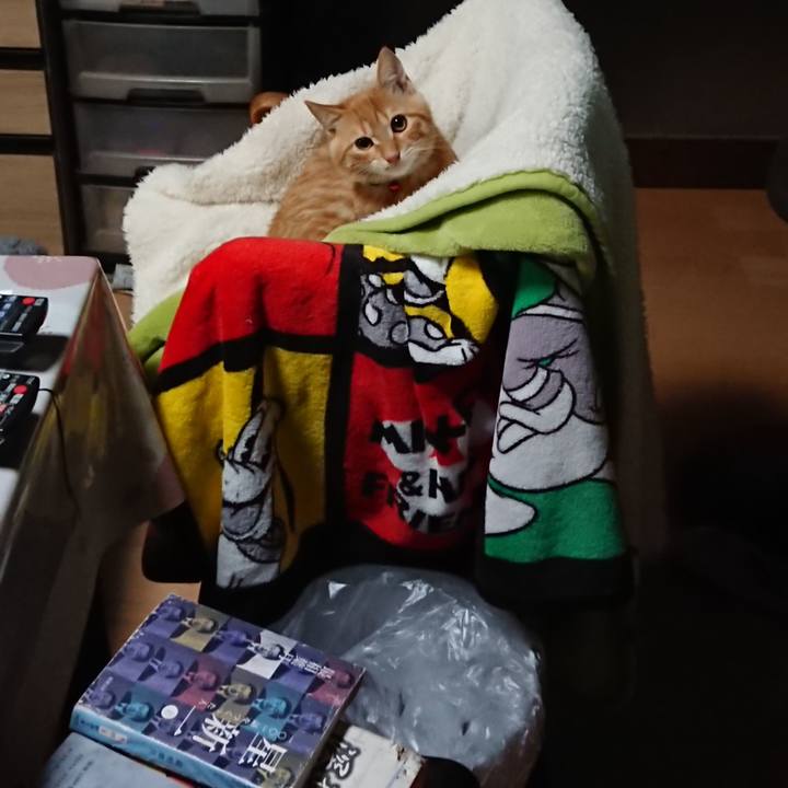 F5d40144 bbe5 44be bdb2 2532fffee50a 1634343081437