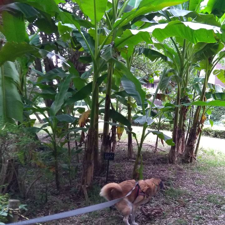 F5d40422 82d4 439e 9904 5c3f5af647f4 1567639667720