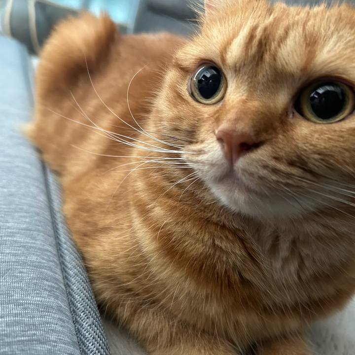 F5d411d2 cadc 4a34 b20a 48093028be61 1692139816297