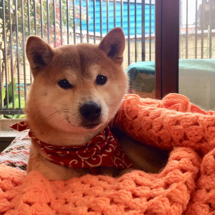 F5d41ffb 0419 45bf 9d86 e024a3120e7a 1517732015129