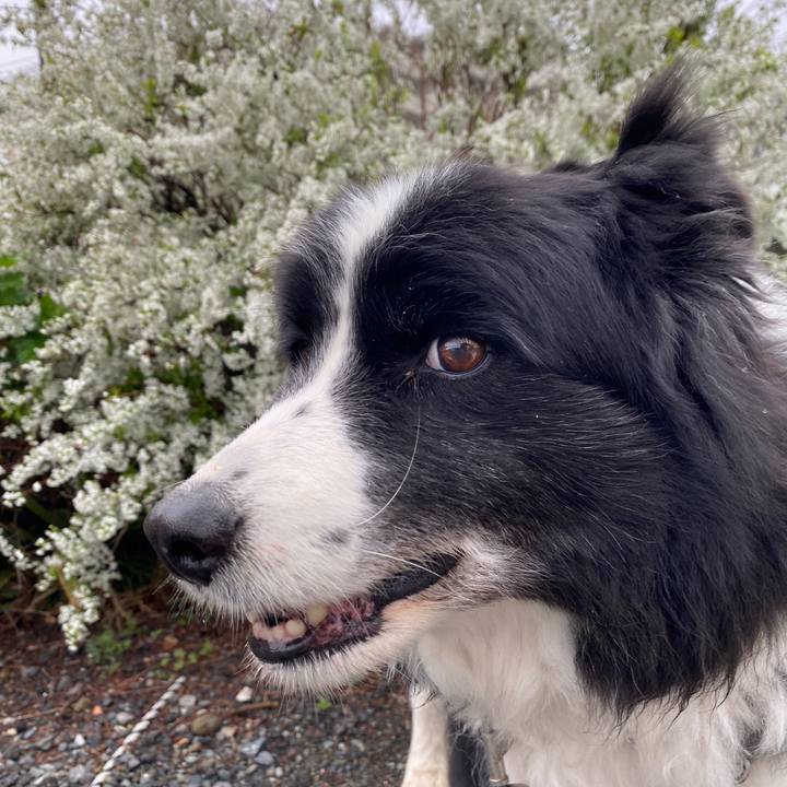 F5d44bf6 6e5d 4267 8704 94e9e28984b4 1679098019913