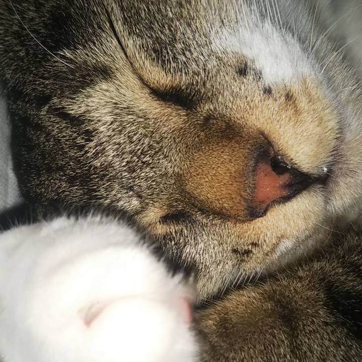 F5d480b0 f13a 4a60 af86 c09d19c57e20 1627551960309