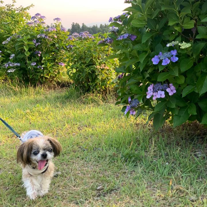 F5d4867b 819d 47f7 af2d 4c7c45bf3461 1751891411253