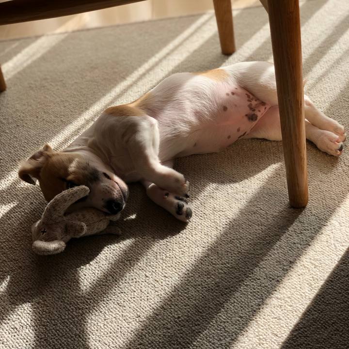 F5d49c0e e9ba 42cc 8221 34bc9e6448eb 1548577079305