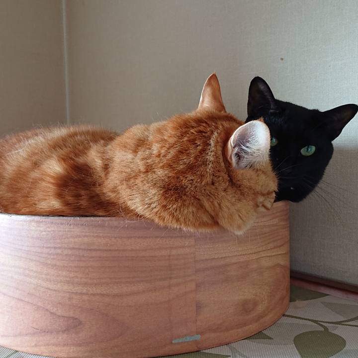 F5d4ba5a f5b4 4729 9166 869749d9c60c 1537964711794