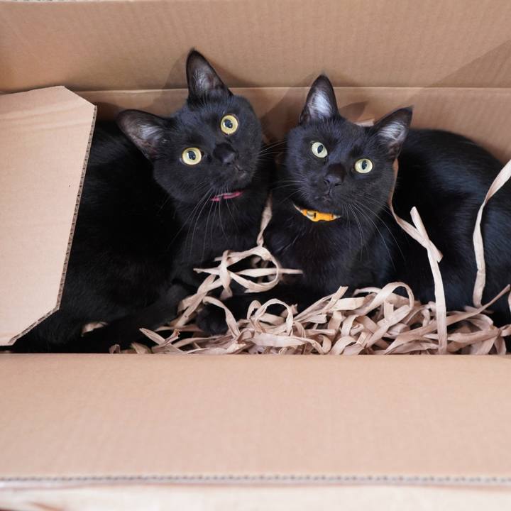 F5d4e47b 11ec 4f72 ad9f 777a18ea6f13 1589035821449