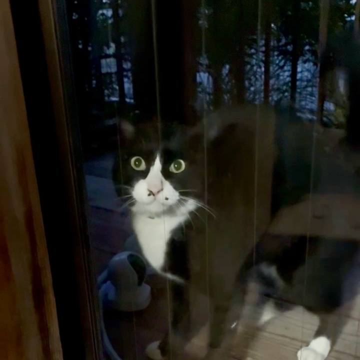 F5d4e828 ce8c 4d81 bce2 c42d206bc011 1765621723528