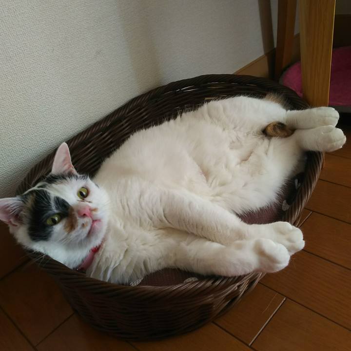 F5d4f89c 289a 4343 b8e7 b2921ebe9aef 1531528269524