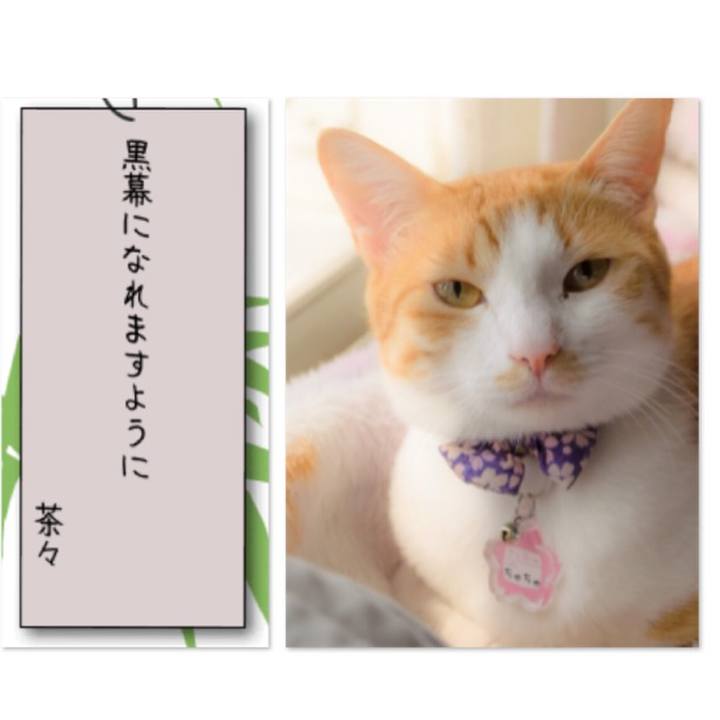 F5d52926 2ebd 4f55 8fc7 2f90c773c98d 1530935138325