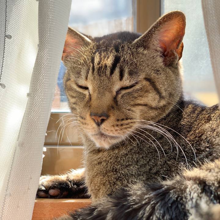 F5d5435e 1b1e 42b3 8e2e 1d0ced094e6b 1585791632170