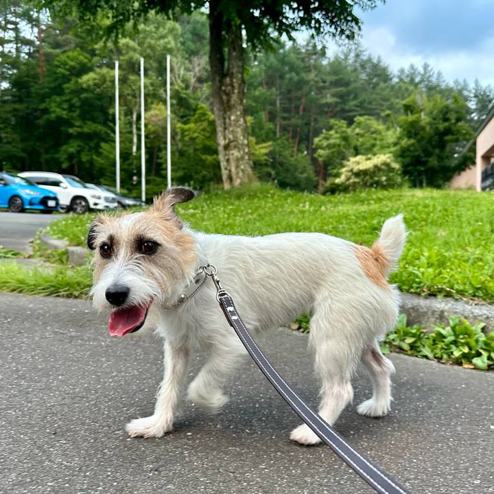 F5d54bb8 55a3 4c07 bc3d 0a78bc69edca 1722780573338