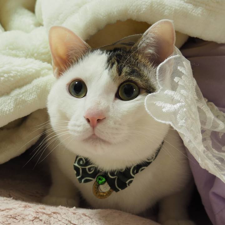 F5d57081 15b3 411e ba97 d4b65f16d117 1550411286137