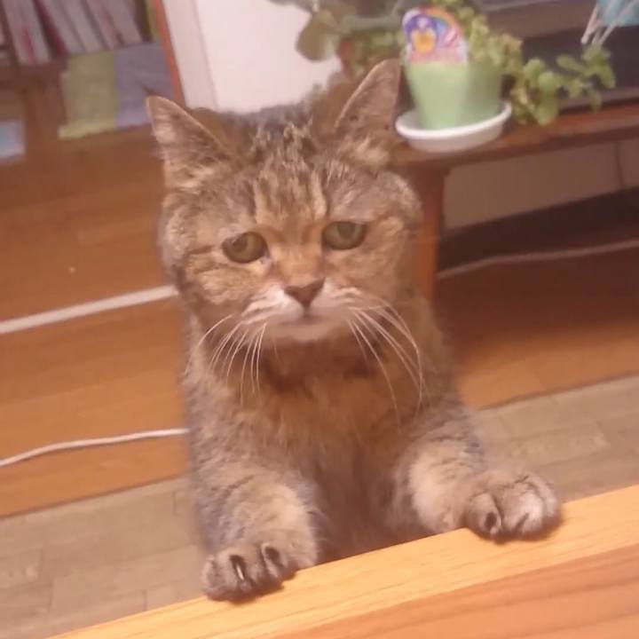 F5d57ab0 d297 49c3 bc87 3300db607a88 1586079277750