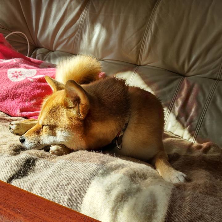 F5d59a46 1638 4f4f aa68 55e49603bcf1 1638062173118