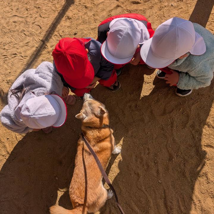 F5d5ad5b 35ee 4dfe a3d5 4fa24a1ec443 1765858080134