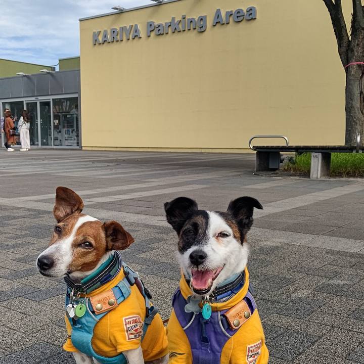 F5d5cafc f5b0 4906 86fd ad9944994435 1696685010826