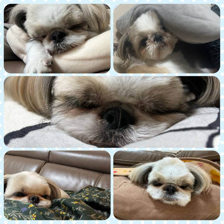 F5d5cb05 f4ef 4dd3 8e2d 3e8eade94253 1730811304868