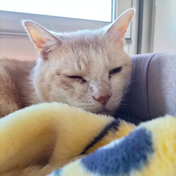 F5d5e9c6 e6cc 40c4 b128 c81e69b500c3 1697495542069