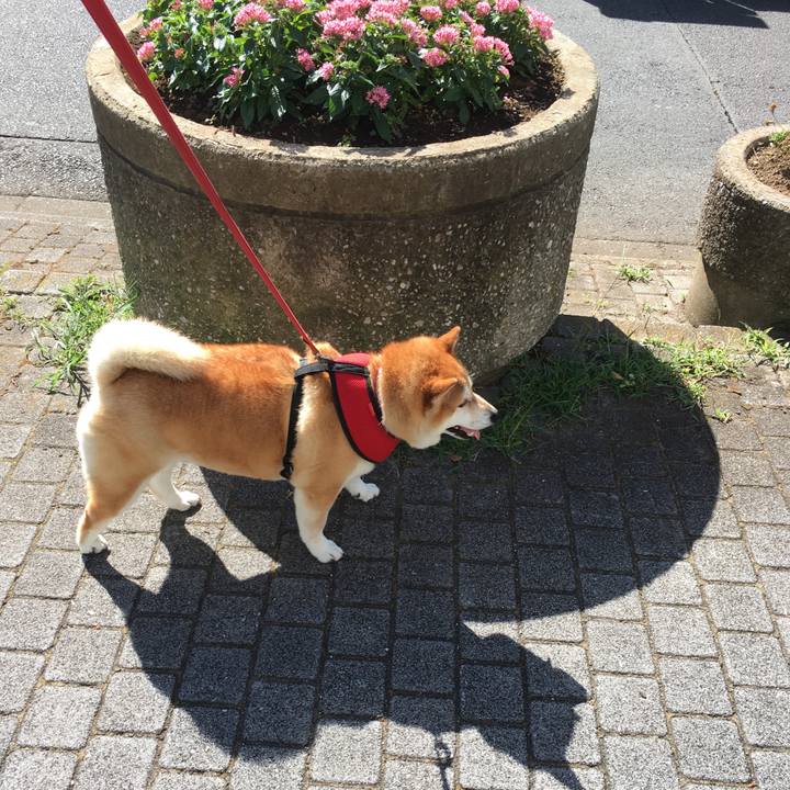 F5d5fabe f986 44ce b5d4 e8d8b6fe6e15 1598487756784