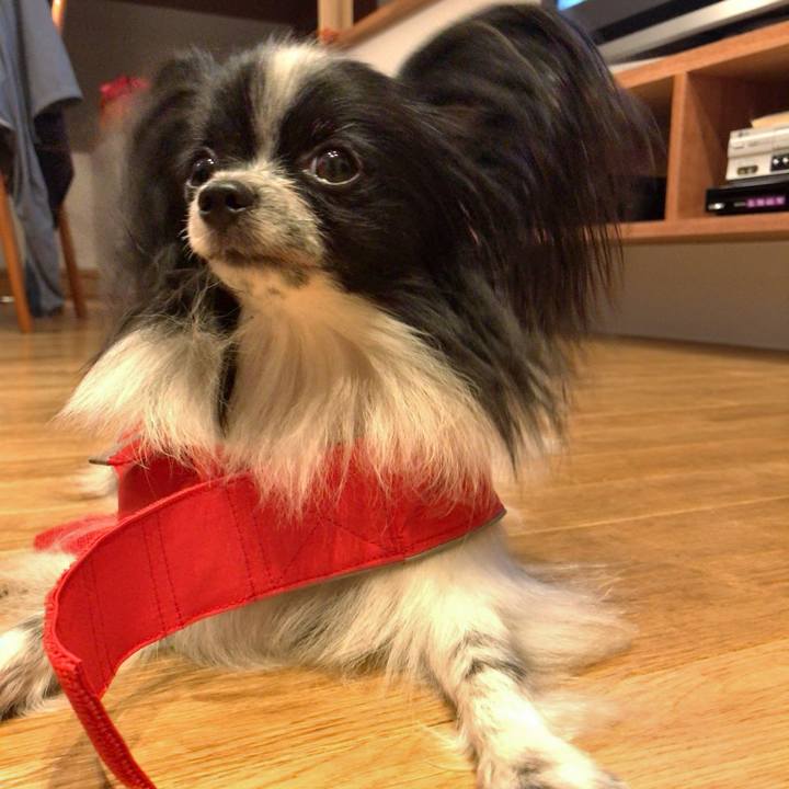 F5d5fd40 2982 4498 bb94 2e333e815bda 1539349196667