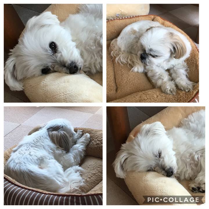 F5d63832 291e 46e4 91d6 3d58565e254d 1555559709409