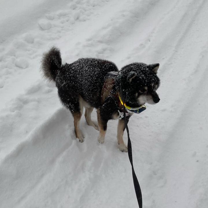 F5d683f1 d883 4213 aa71 fd35e2a6daa8 1670553376084