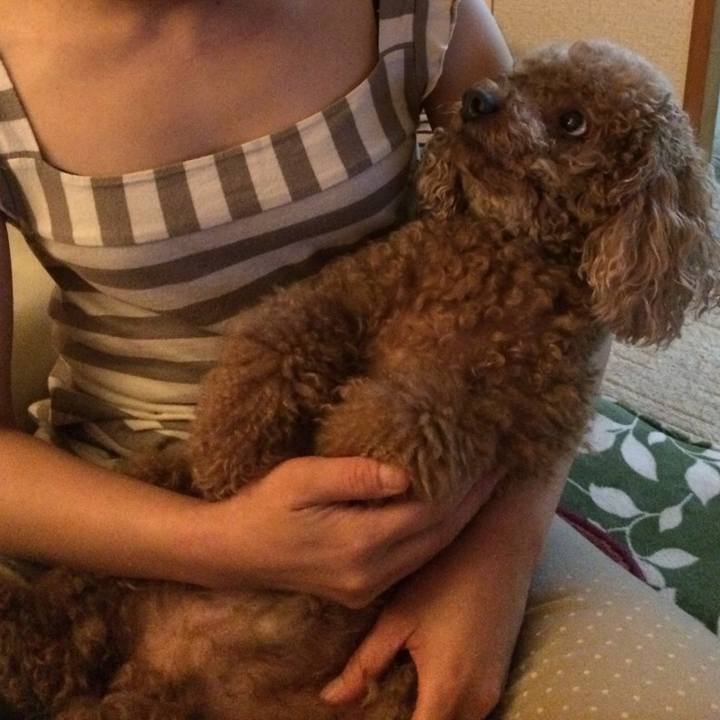 F5d68851 d709 4f70 89b1 8bedd6644e72 1536856060034