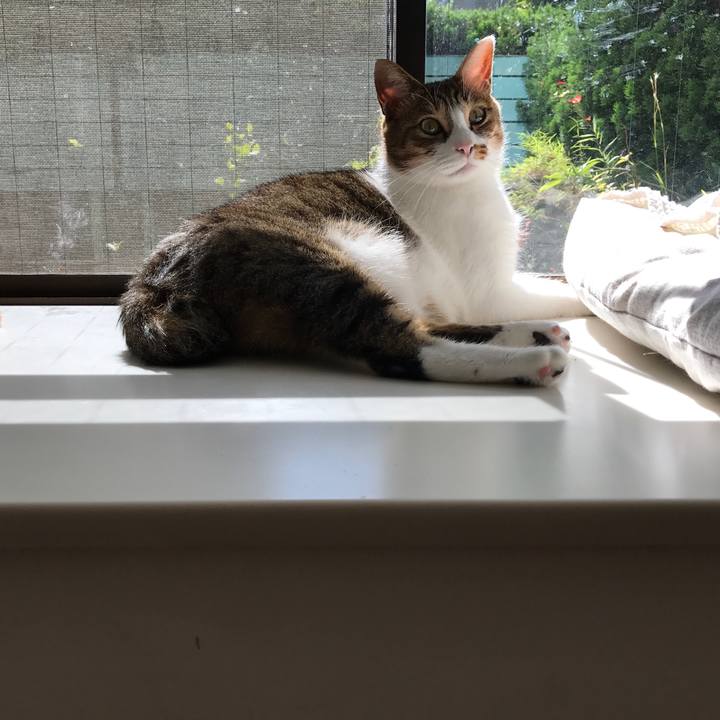 F5d69d59 828d 4c3f a72c 2bfd4b0c7cd6 1508478449052