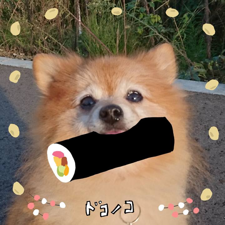 F5d6b54c 73f6 41ab a56c 72306d22df71 1741164804654