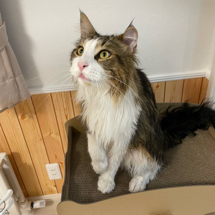 F5d6beb3 568b 490c b908 62bf16c55a6a 1655119043964