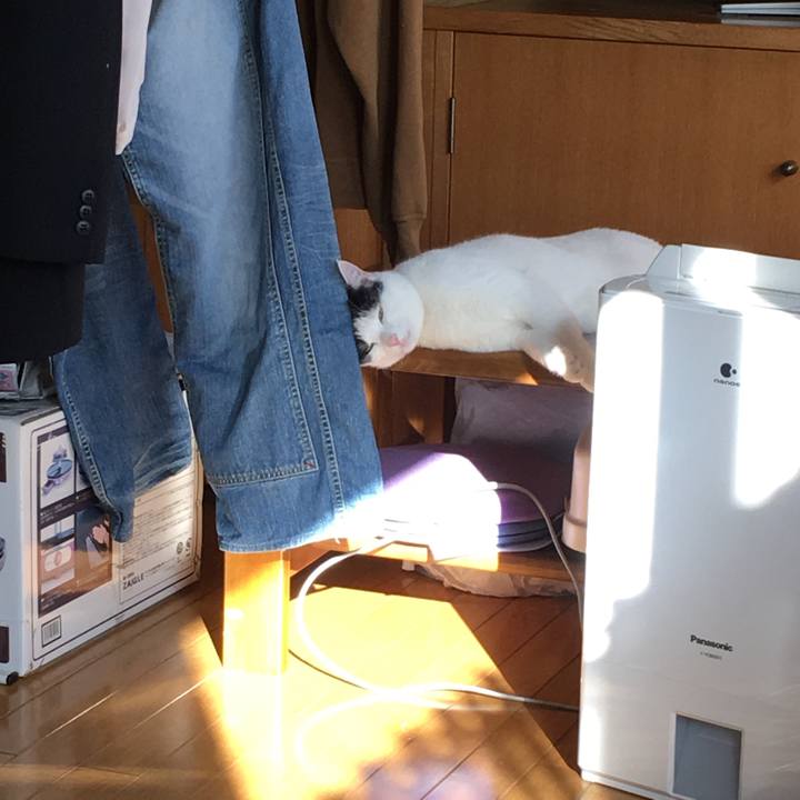 F5d6d29a 6498 4b63 ac90 689599e978ab 1513232218161