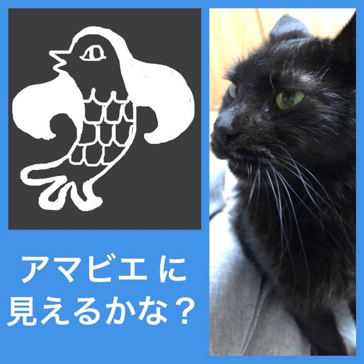 F5d74aa7 e261 425e 9001 31a9d5d604db 1587656163269