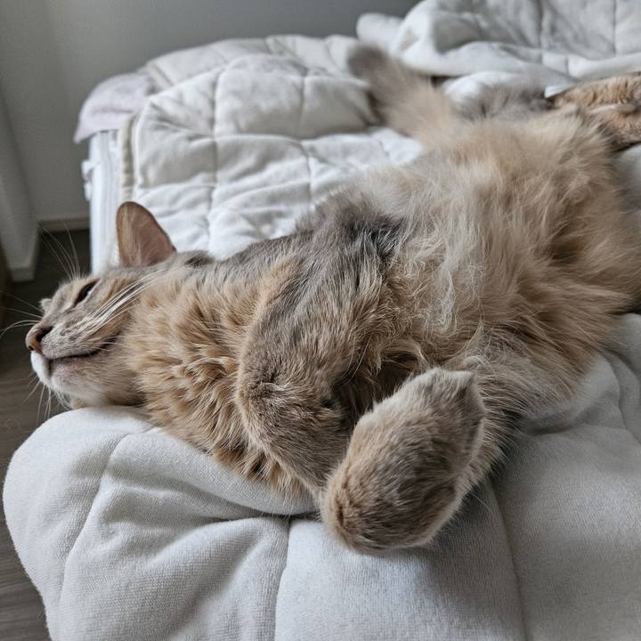 F5d78087 4f53 4664 8931 e77d792a0728 1754622846758