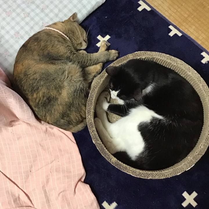 F5d7a246 92b8 4ebb a3fb d888a7d473a1 1715337898102