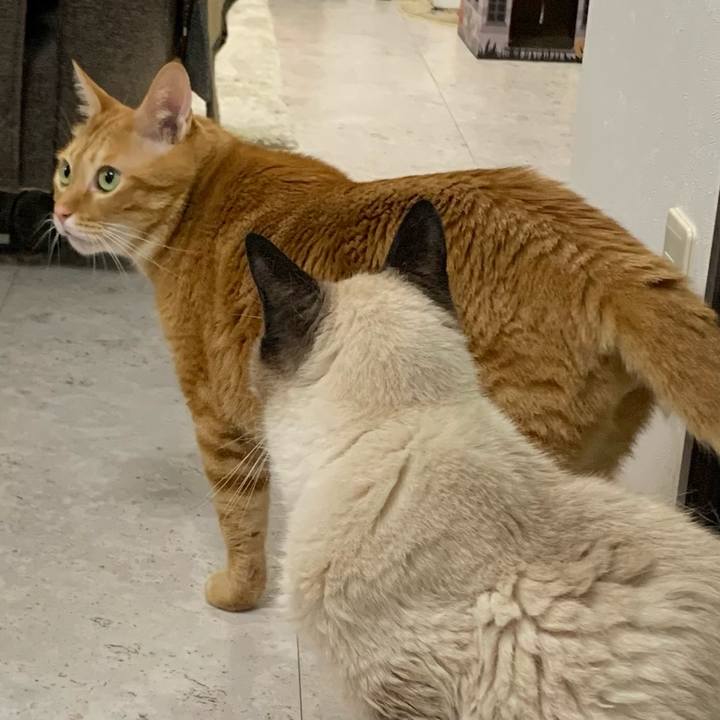 F5d80d5a 967a 462b b3fe 76d7fa1cfb0a 1635288058741