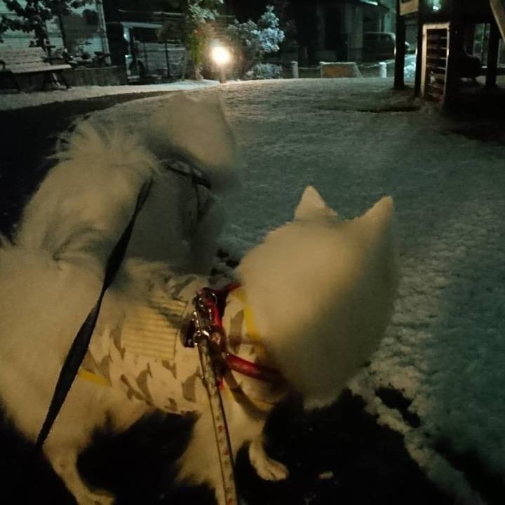 F5d83287 dbf1 4ffe 9c57 3b95f1073de7 1611939764546