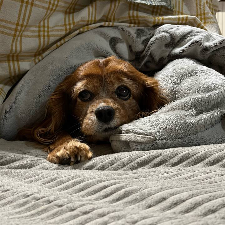 F5d83cdc 8346 4bda a65f 3cedf0242a48 1739312594577