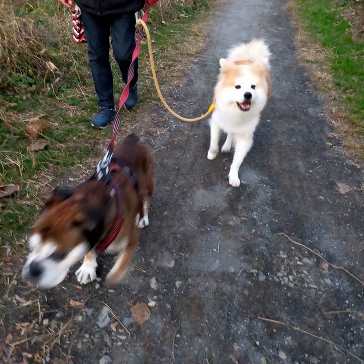 F5d83d5b b30c 4572 b32f 7992162ce081 1637409205261