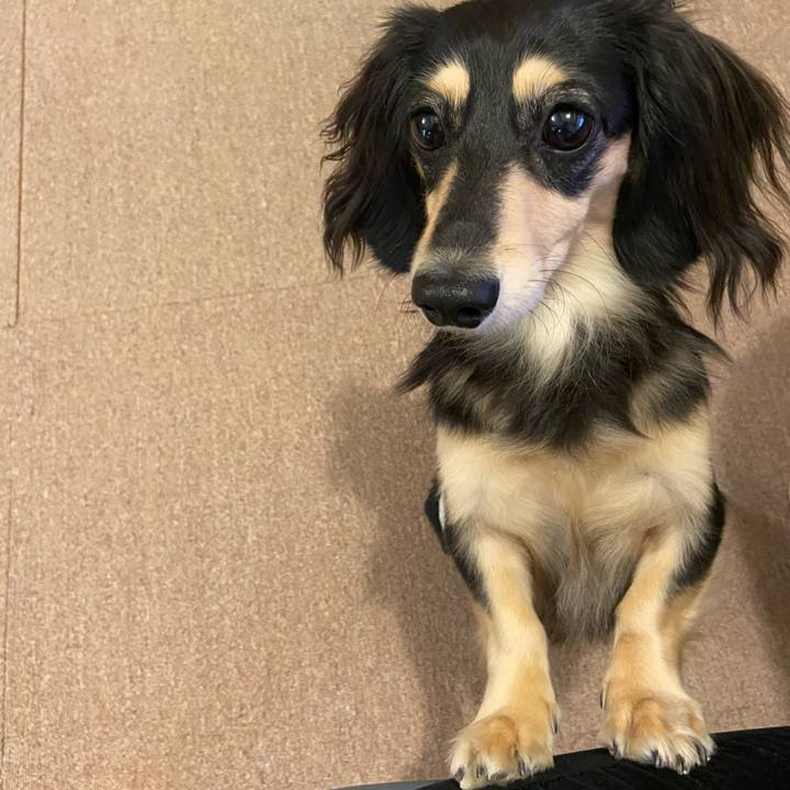 F5d86900 de92 4678 aa13 0f96b0eaa66c 1704609668429