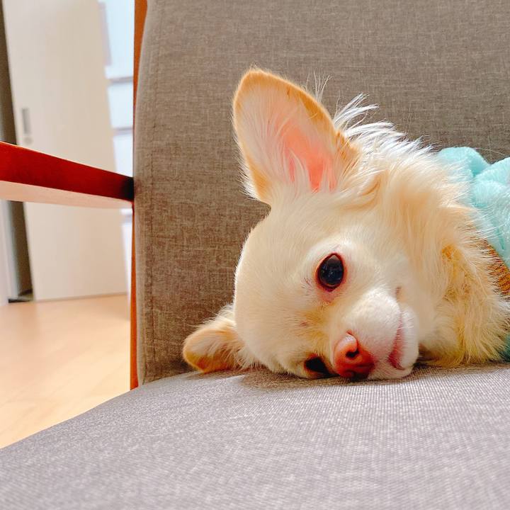 F5d87483 6782 4066 9901 2984854fcaad 1636435028980