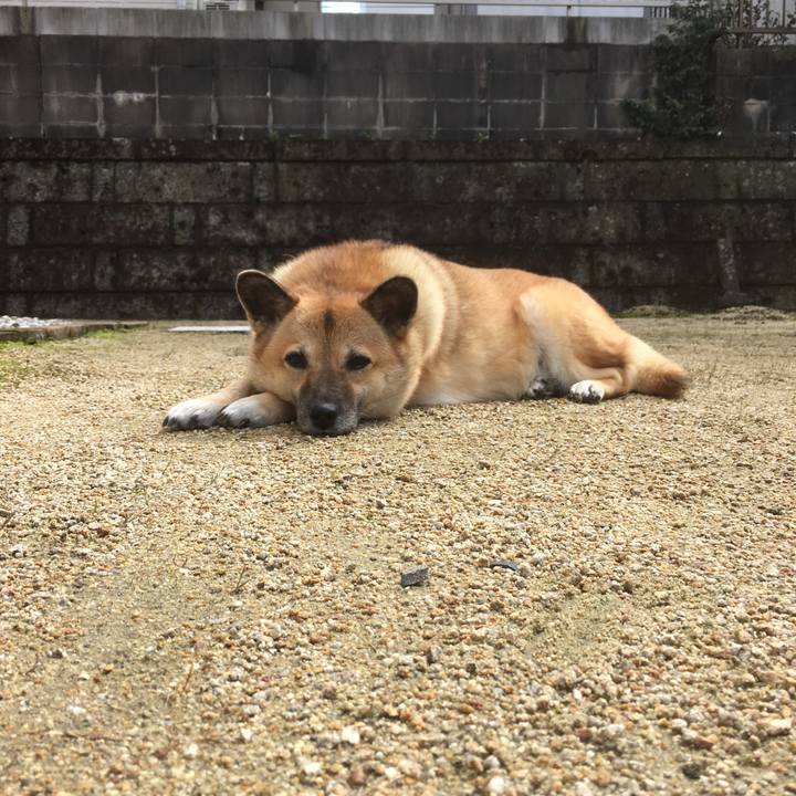 F5d88320 3877 4440 b5aa 9e22a1e7cf38 1508470403711