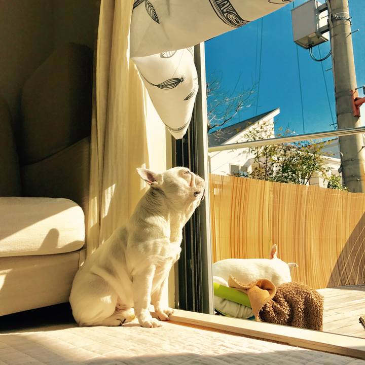 F5d884d2 89ae 479d b20f 784b9047ba4e 1519954455482