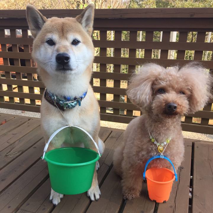 F5d8a668 6bf6 41bd a255 8b127cacba49 1509855145317