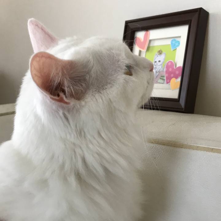 F5d8c5e2 f7f9 434e 811d b2336df85fbd 1535411326335