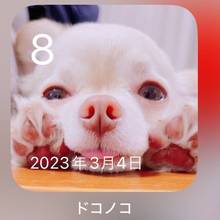 F5d8d6ed bdca 4cb9 9c8f f5f3e9068e2f 1709896201337