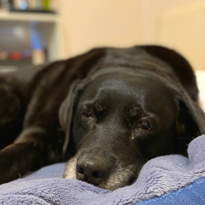 F5d938fc 1936 40c1 9b10 33af173eee6f 1554936891707