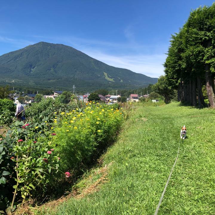 F5d94fc2 3947 4754 a445 0e0d510b01cb 1567826122814