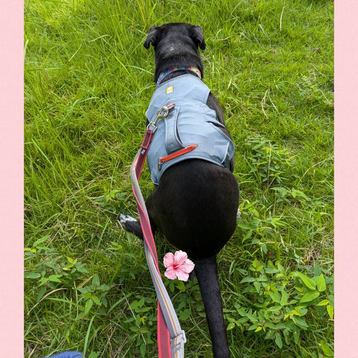 F5d969f1 3289 4e65 9e62 26c7d091a266 1725581637165