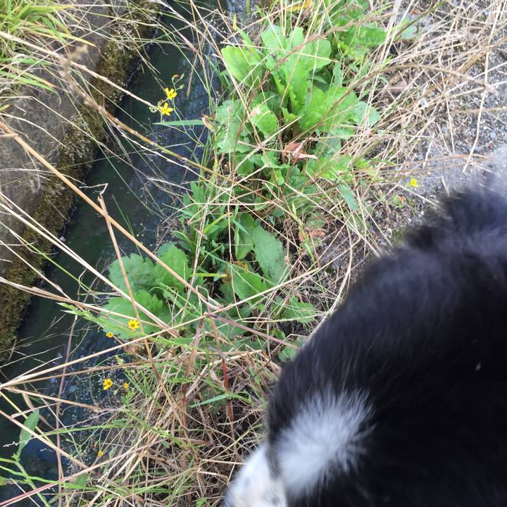 F5d96a8f 8070 47e4 afe9 d2d604b62d9d 1530053294459